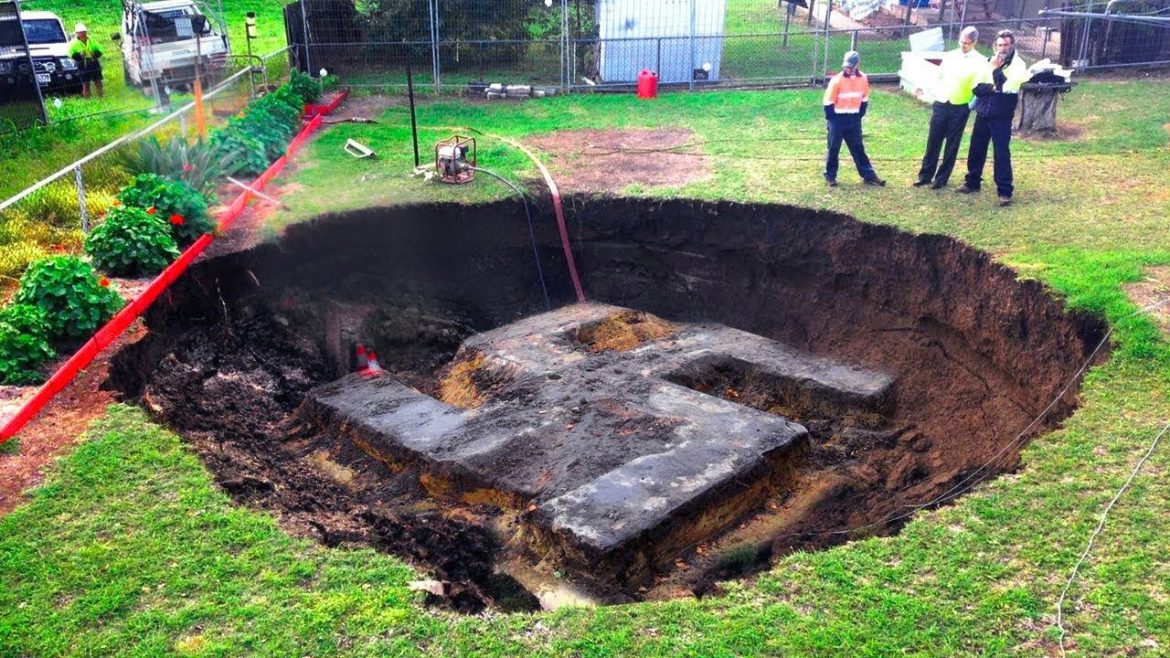 Man Kept Hearing Strange Noises Under Driveway, Look What He Found Inside Man Kept Hearing Strange Noises Under Driveway, Look What He Found Inside