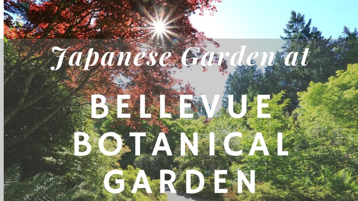 Visiting Japanese Garden at Bellevue Botanical Garden Visiting Japanese Garden at Bellevue Botanical Garden