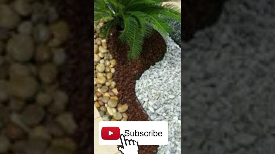 Front yard Landscaping ideas with rocks | Frontyard Backyard | Trendy shorts