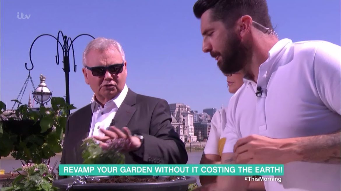 Get a Colourful Garden With Michael Perry - Part 1 | This Morning
