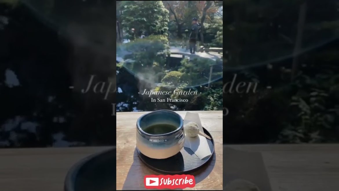 The Japanese Garden in Golden Gate Park: An Amazing experience!