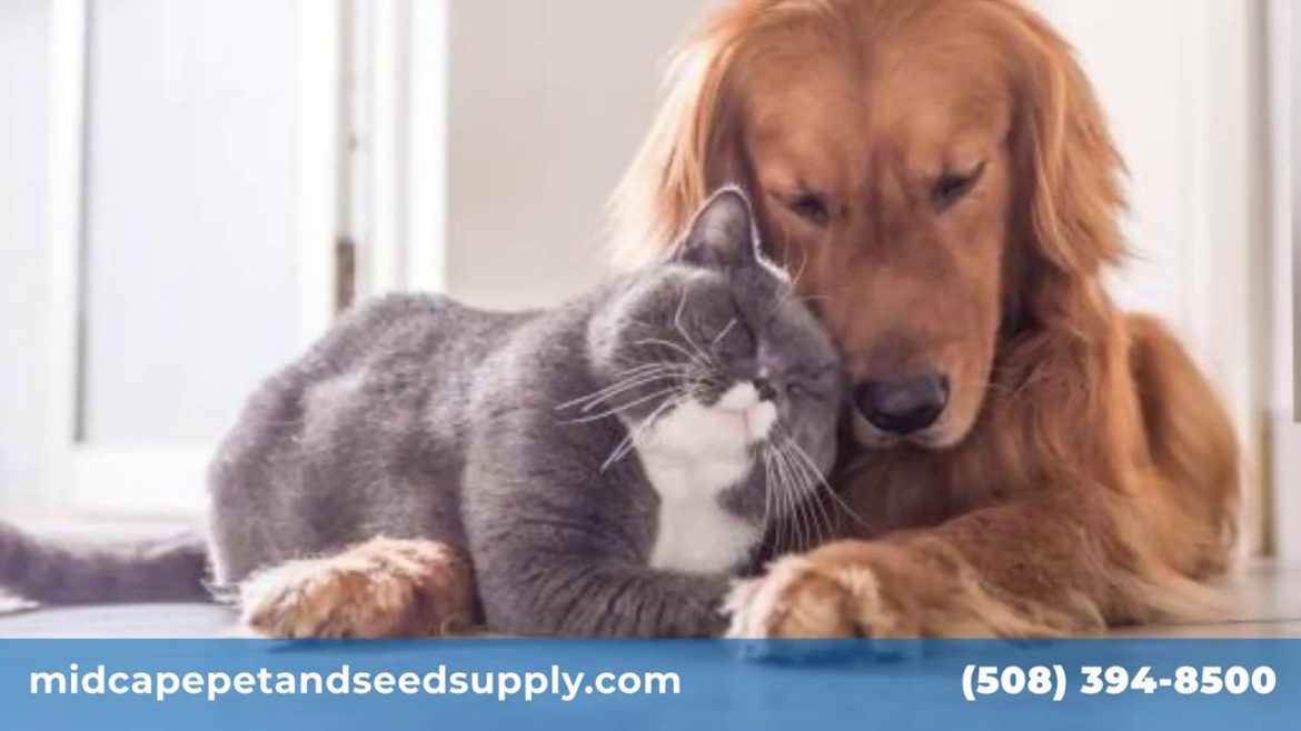 Pet Supply & Gardening Supply in South Yarmouth, MA | Mid Cape Pet & Seed Supply