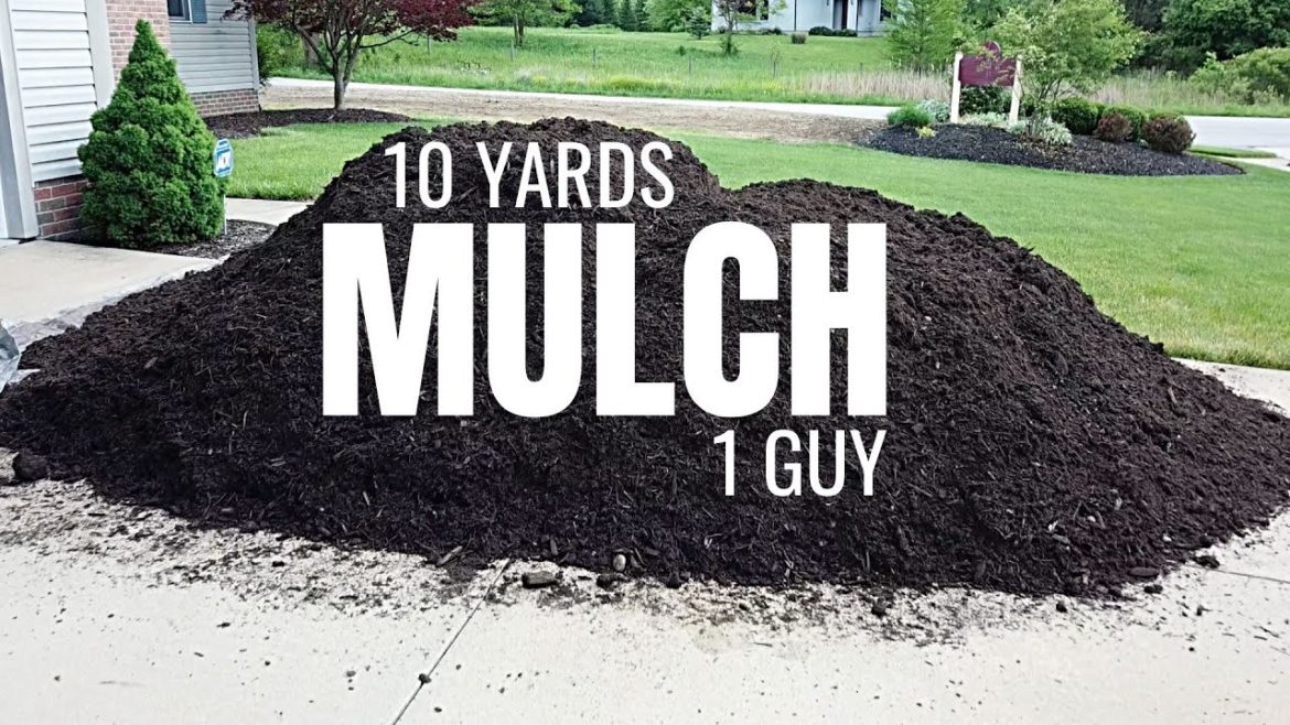 Mulch Landscaping Project | 10 Yards Solo Mulch Landscaping Project | 10 Yards Solo