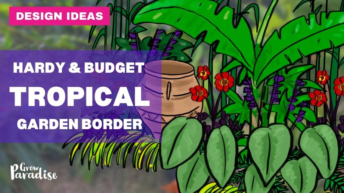 How to design a tropical garden border - hardy & low budget