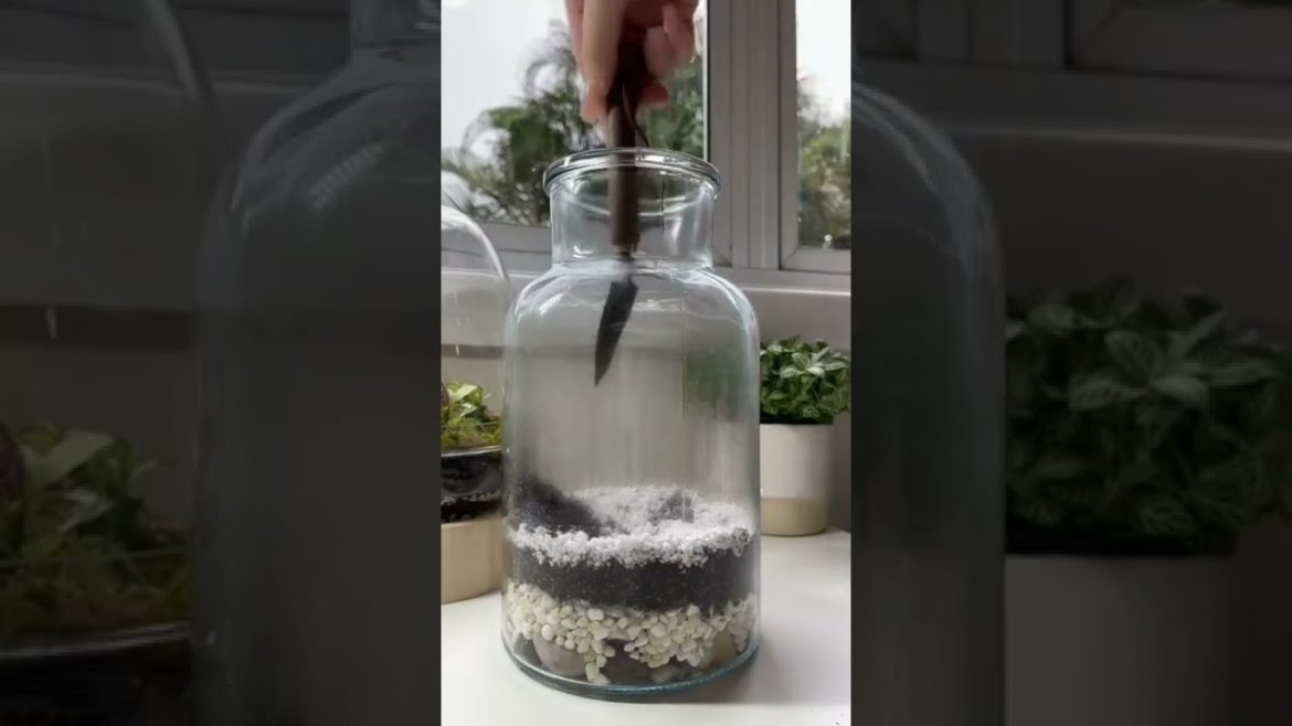 Little Fairy Garden tiktok imogenlilyk