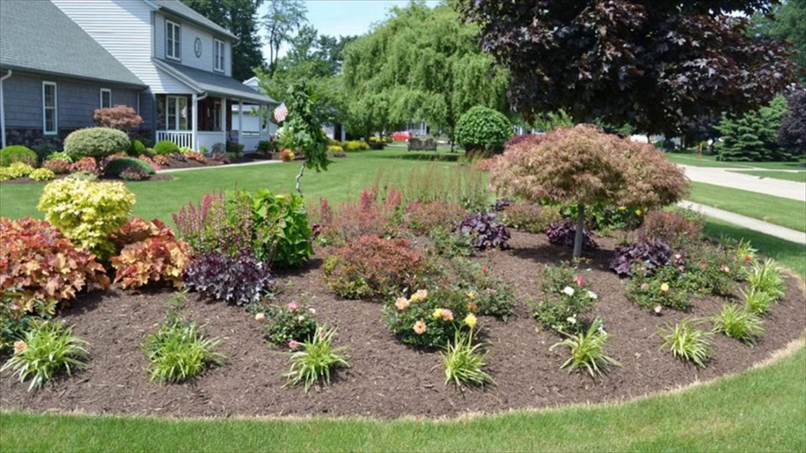 Backyard Corner Landscaping Ideas