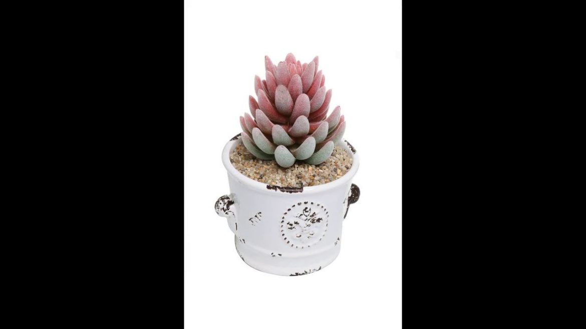 20 Best Garden Accessories - Cute Gardening Tools & Supplies