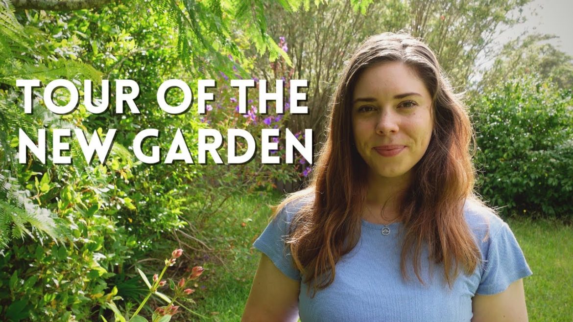 Full Garden Tour πΏπ³ Plans for New Growing Spaces & Why THIS Garden is so special to me π Full Garden Tour πΏπ³ Plans for New Growing Spaces & Why THIS Garden is so special to me π