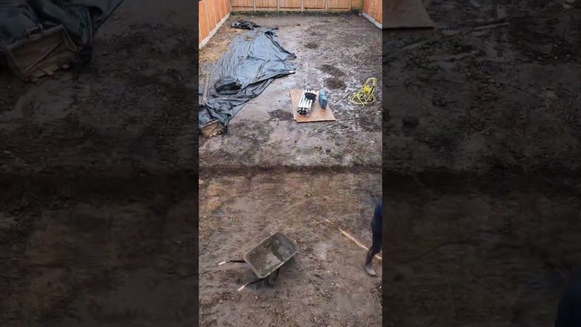 Weed Garden Renovation / Restoration (I kept clippings and trees for family!)