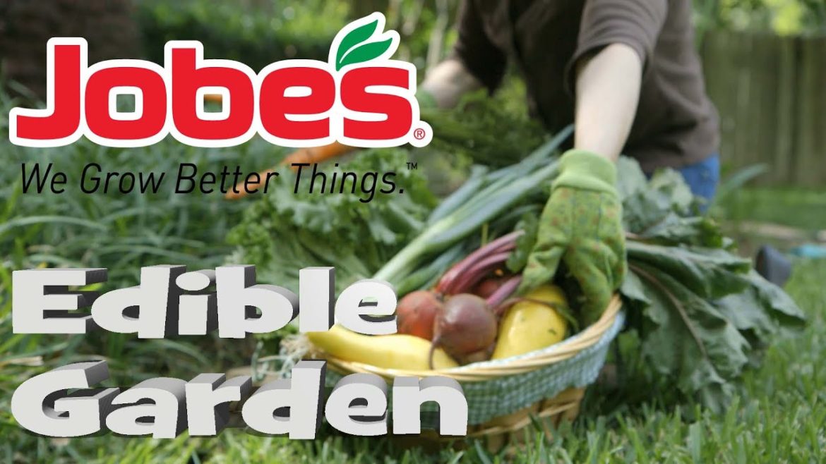 How to Grow an Edible Garden | Jobe's