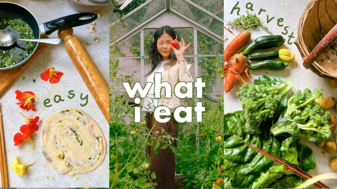 The Best Part of Farm Living! 👩🏻🌾🥬 Eating from a Garden for a Week: Easy Recipes & Meals Ideas The Best Part of Farm Living! 👩🏻🌾🥬 Eating from a Garden for a Week: Easy Recipes & Meals Ideas