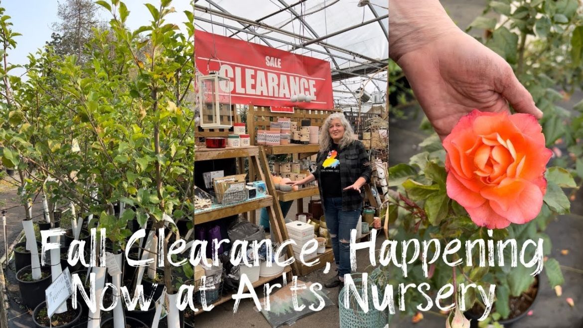 Fall Garden Clearance | Surrey B.C. | Garden And Home Vancouver