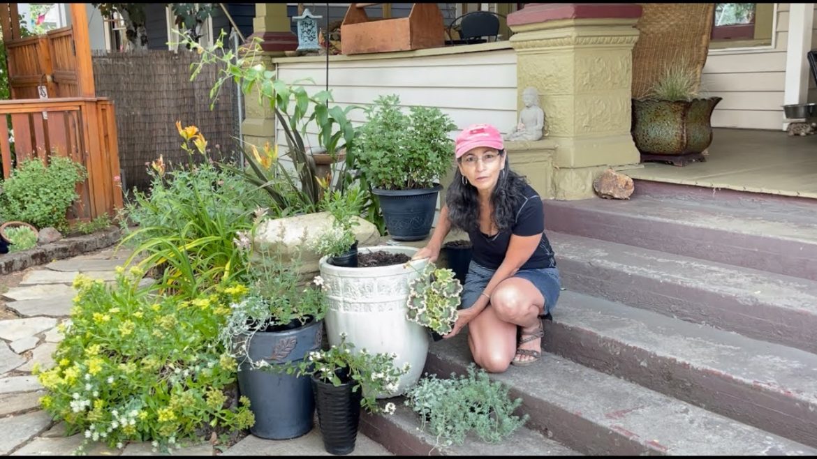 Grouping And Planting A Beautiful Container Garden