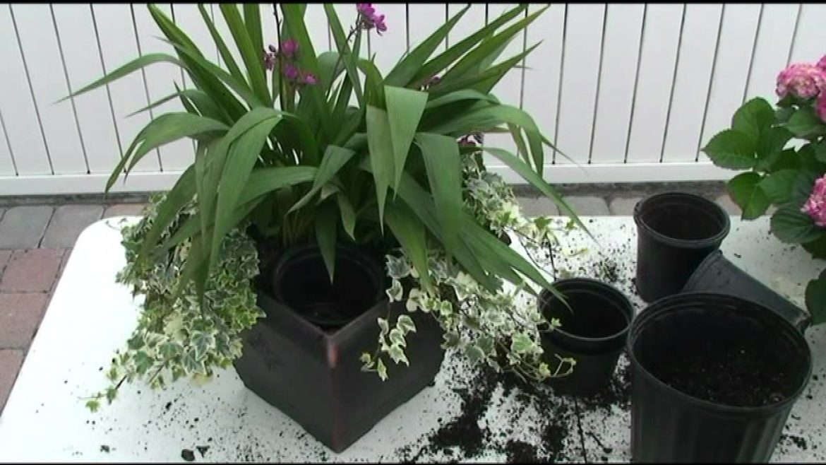 Contain Yourself-February Container Garden