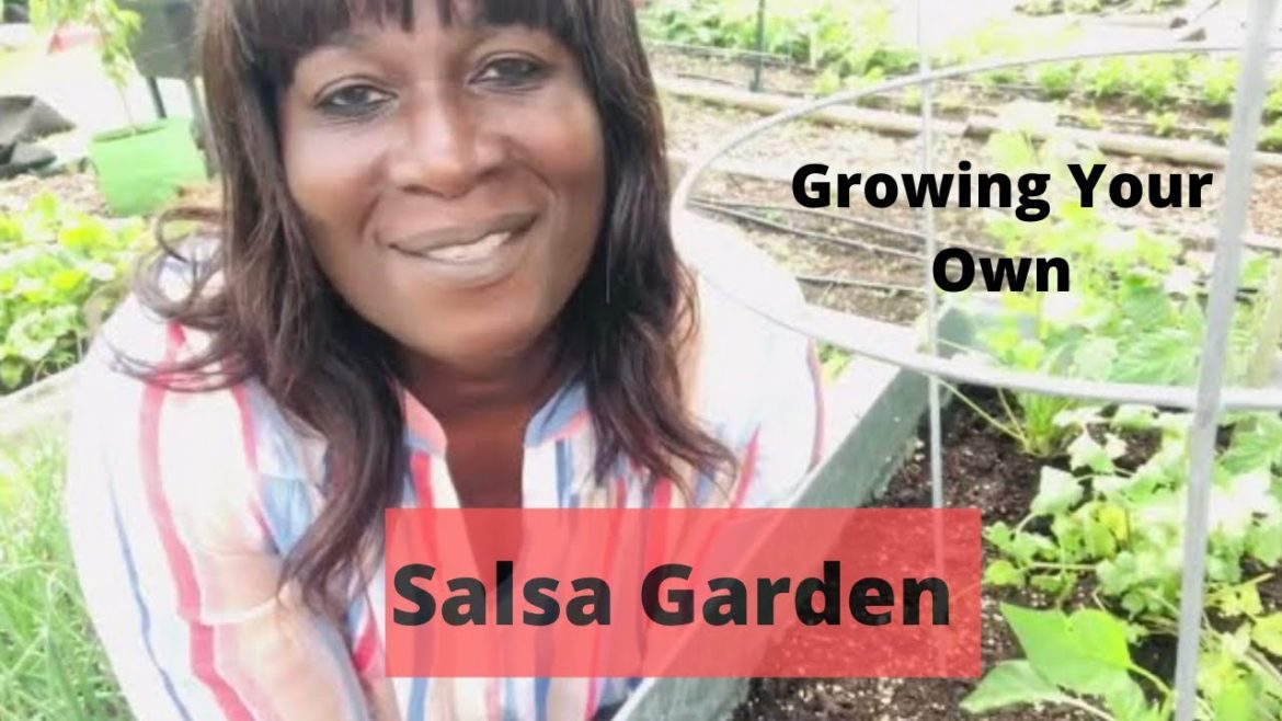Container Gardening :Growing Your Own Salsa Garden @Gardenhauling π
π§
πΆ Container Gardening :Growing Your Own Salsa Garden @Gardenhauling π
π§
πΆ