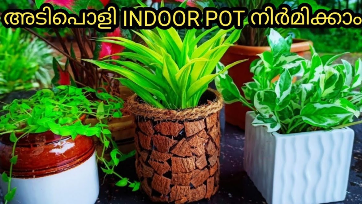 indoor pot | best out of waste | gardening tricks | gardening ideas #shorts #shortvideo