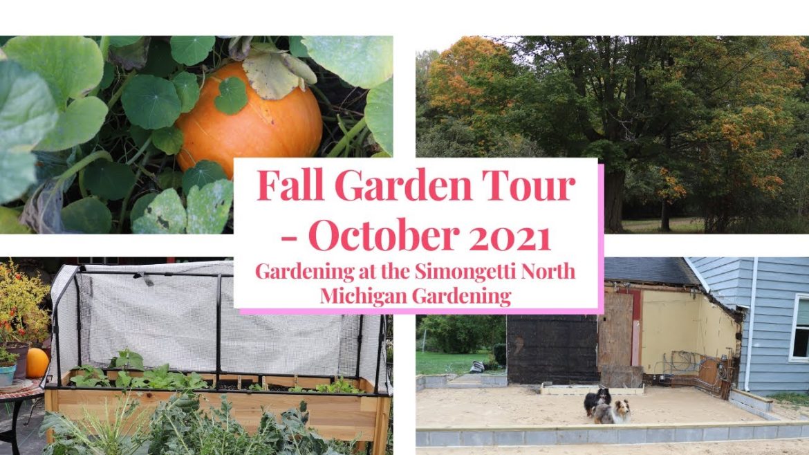 Fall Garden Tour - October 2021 & Reno Update 🥬🥕🏠 // Gardening at the Simongetti North