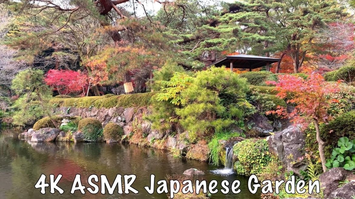 ASMR Japanese Garden Coi Pond 2020.12.12 Waterfall Sleep Omiya Park Autumn Red Maple Leaves Ambience ASMR Japanese Garden Coi Pond 2020.12.12 Waterfall Sleep Omiya Park Autumn Red Maple Leaves Ambience