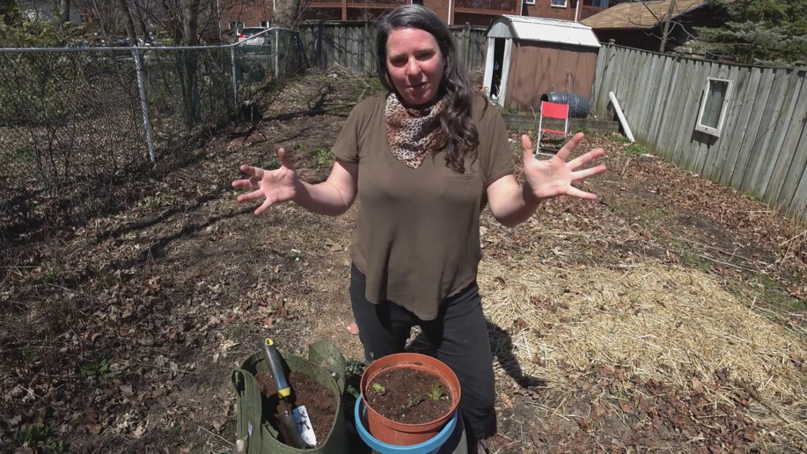 JILL BISHOP TALKS CONTAINER GARDENING