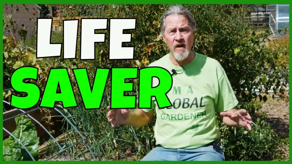 Gardening Can Save Your Life (LITERALLY)