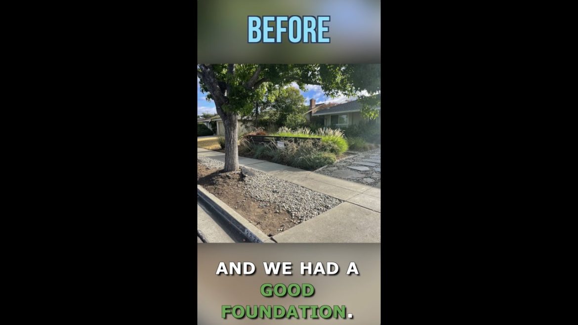 Curb Appeal Before and After - Drought Resistant Landscaping, Front Yard Makeover