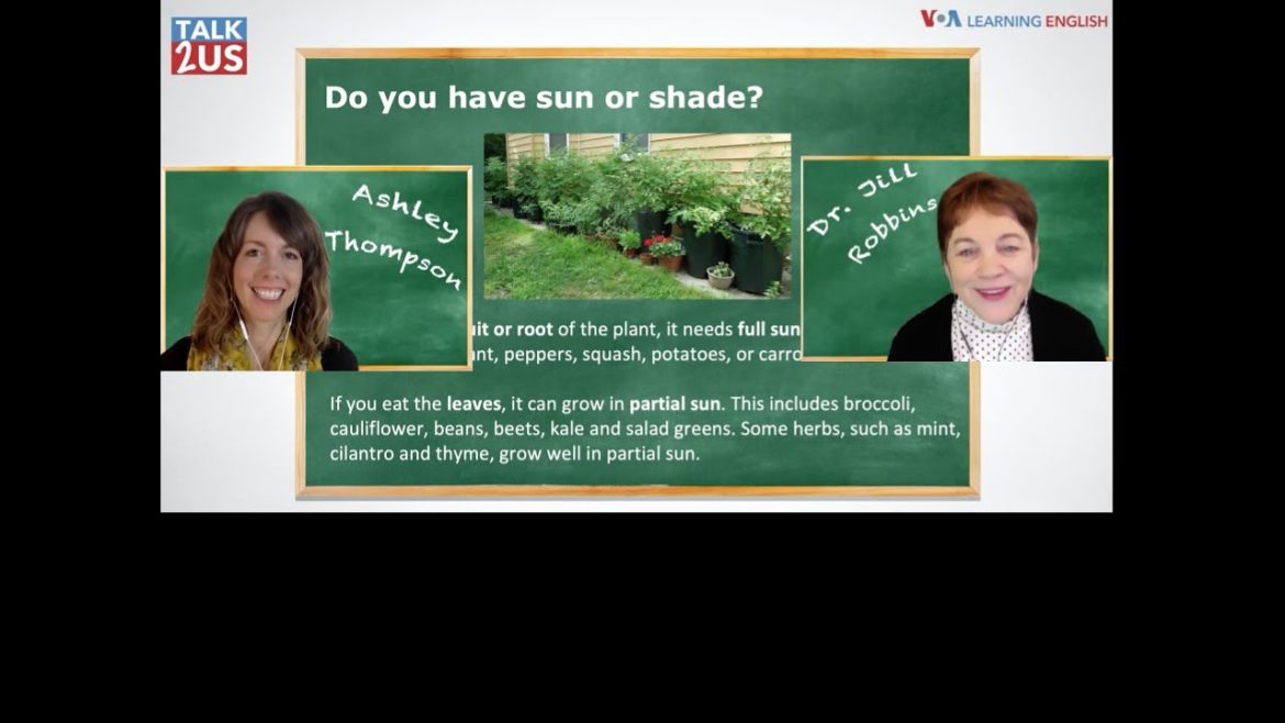 TALKUS: Container Gardening! TALKUS: Container Gardening!