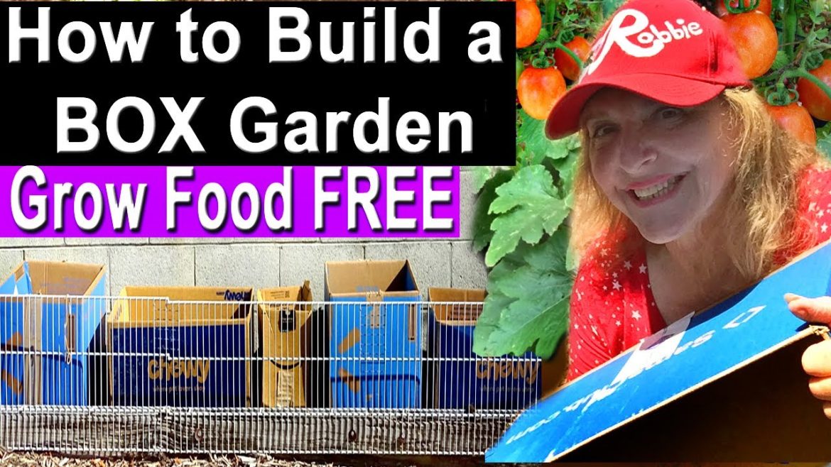How To Build a RAISED BED Garden for FREE, EASY Container Gardening Vegetables & Create Compost SOIL How To Build a RAISED BED Garden for FREE, EASY Container Gardening Vegetables & Create Compost SOIL