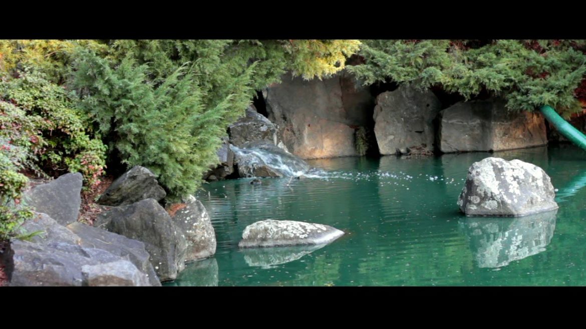 Japanese Garden | Auburn Sydney NSW