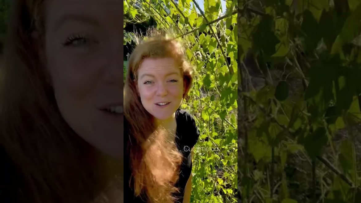 The cutest thing in my garden 🌿 #gardening #shorts #garden #homegarden