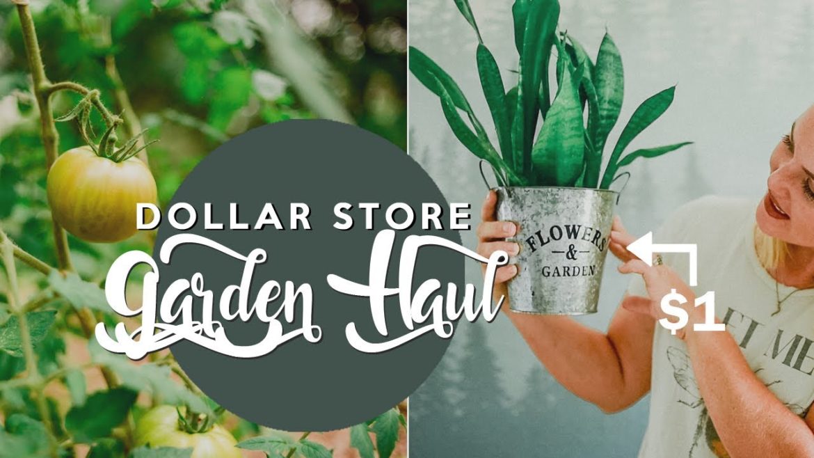 Dollar Store Garden Haul | Gardening on a Budget