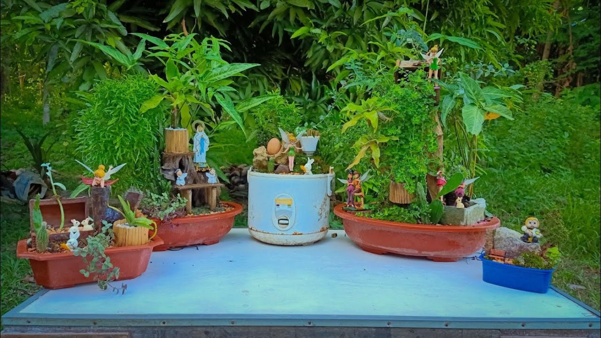 5 DISH GARDEN DESIGN IDEAS 💚🌿