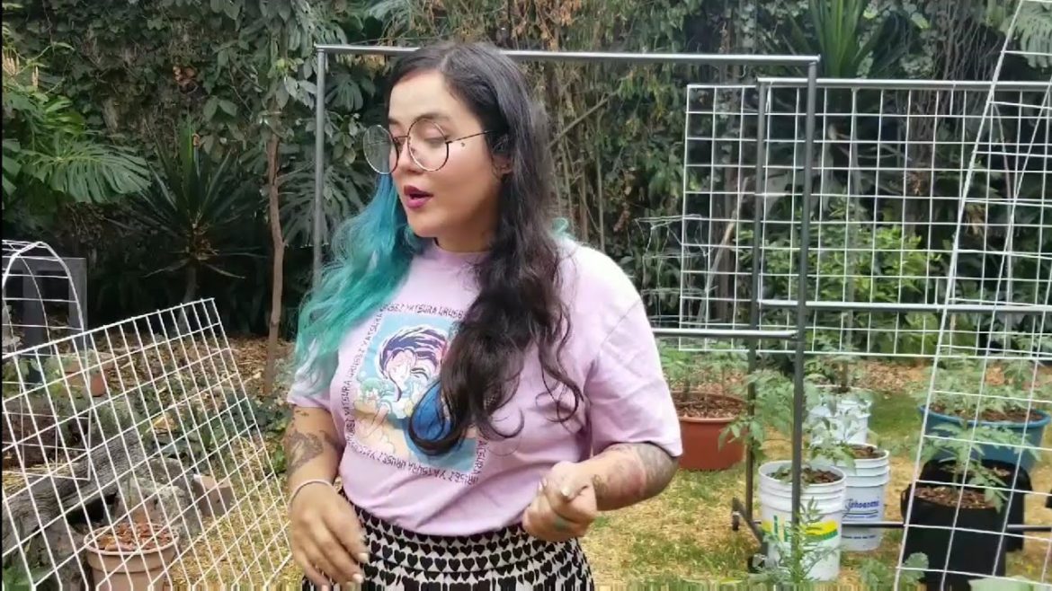 DIY trellis for vertical container gardening // Grow more in less space // Learning to Grow