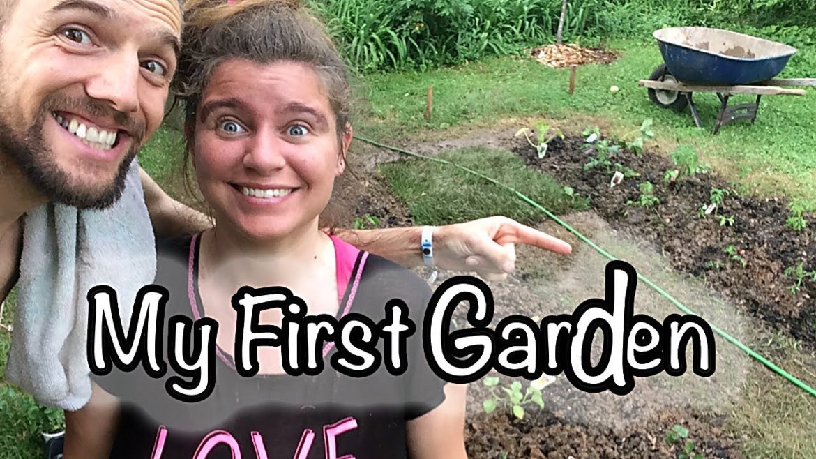 My First Garden – Backyard Vegetable Gardening from Start to Finish (with Time-Lapse) My First Garden - Backyard Vegetable Gardening from Start to Finish (with Time-Lapse)