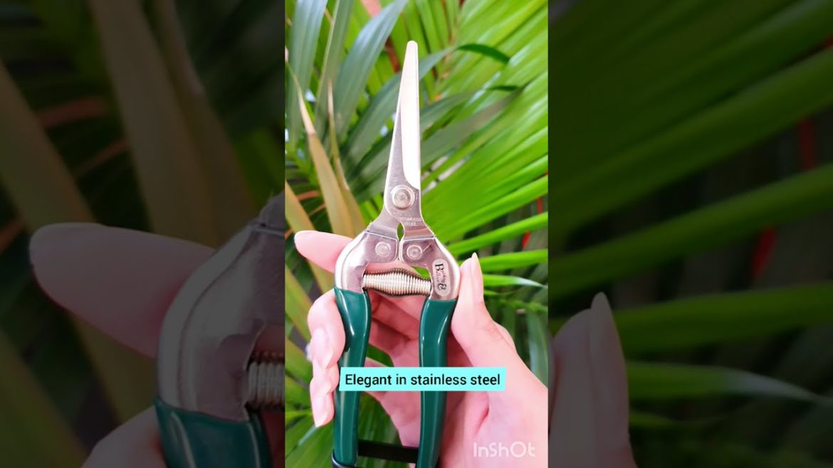 Gardening Tools – Flower & Fruit Snip – Burgon & Ball Gardening Tools - Flower & Fruit Snip - Burgon & Ball