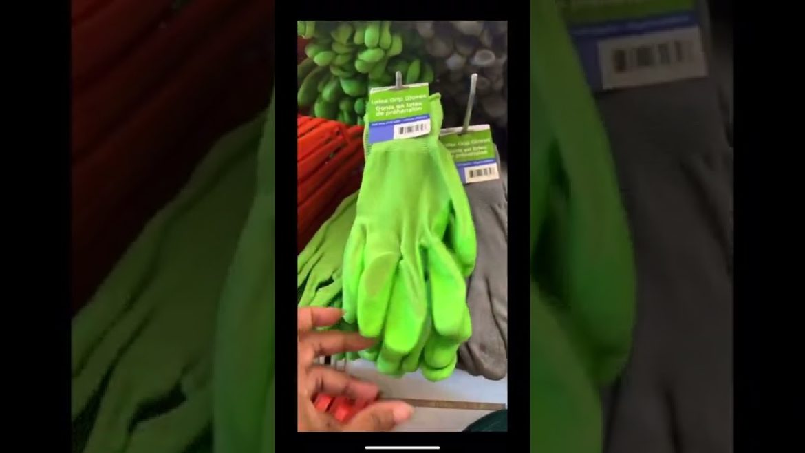 My favorite Dollar 25 Tree Garden Supplies #shorts