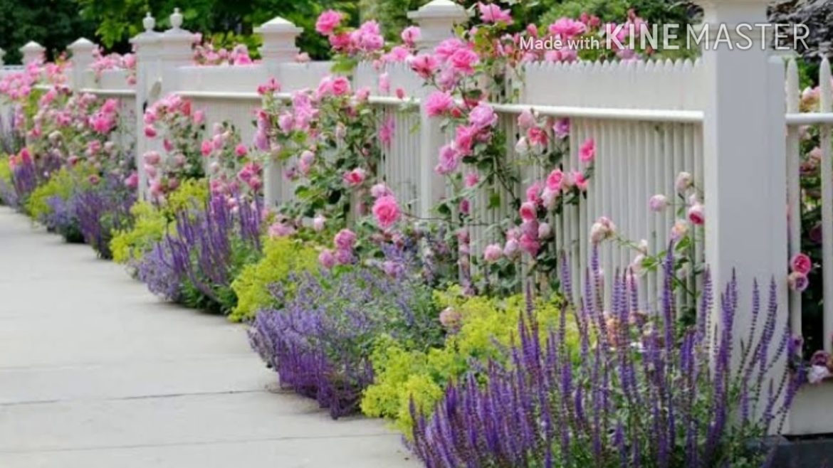 How To Design Front Yard Landscaping Ideas||Landscaping Ideas||Home Decoration Ideas