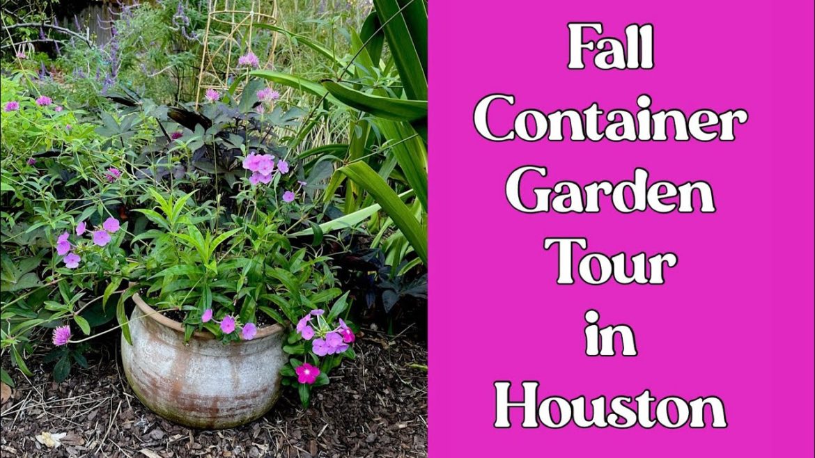 October 20, 2022 Fall Container Garden Tour in Houston @Jo’s TX Garden