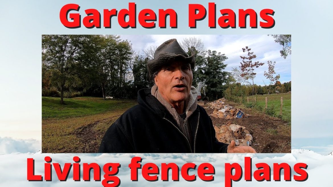 West garden plot and living fence plans