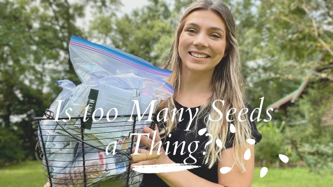 3 Tips for Organizing SEEDS every beginner gardener should know!