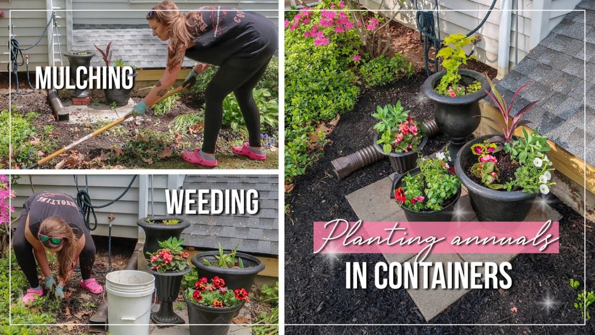 Container Gardening | Planting Summer Annuals | Garden with Me | Yard Cleanup | Weeding & Mulching