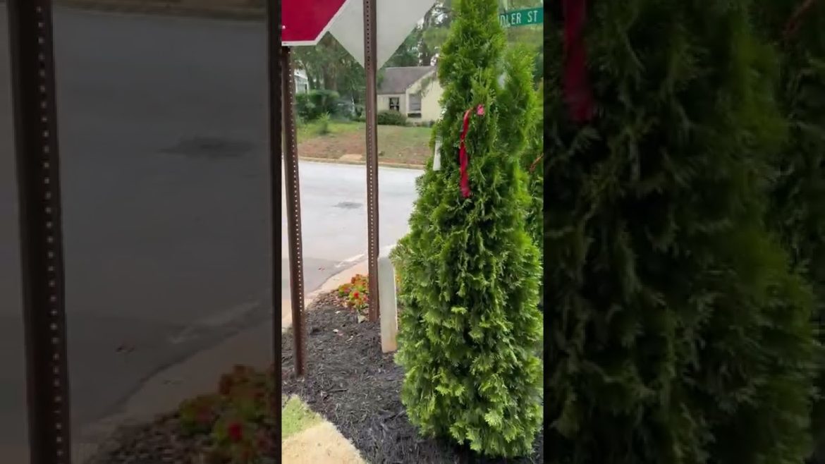 Atlanta Front Yard Makeover Landscaping | Garden Lights Landscaping