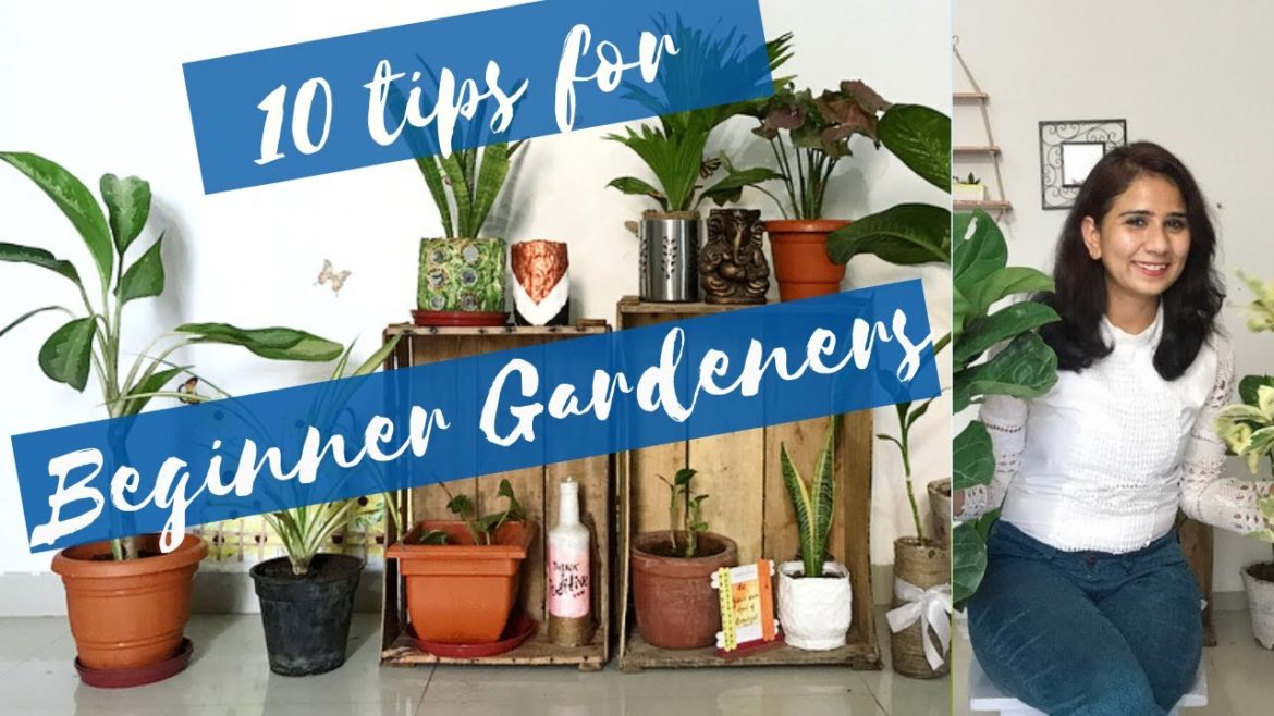 10 Gardening tips for beginners | Beginner Gardener's Guide | Neharika's Frames 10 Gardening tips for beginners | Beginner Gardener's Guide | Neharika's Frames