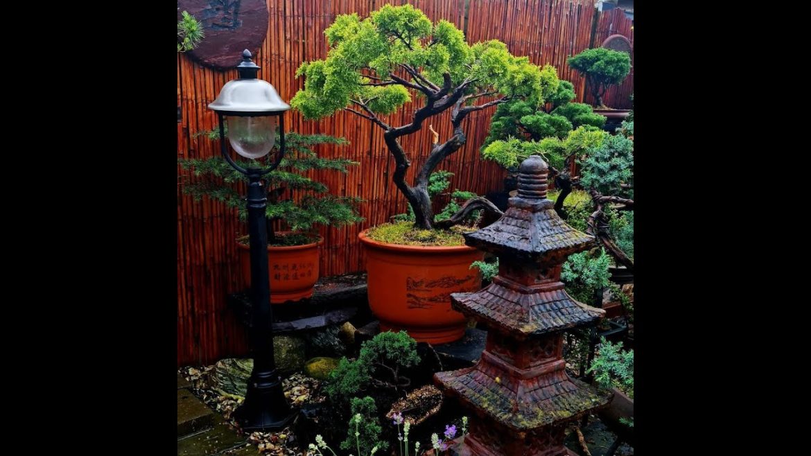 Pagoda Lantern | Japanese Stone Lanterns | Japanese garden Accessory | Home Decor