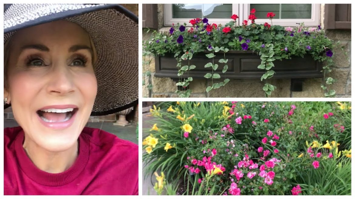 ๐ EASY FRONT YARD GARDEN ๐ ๐ EASY FRONT YARD GARDEN ๐