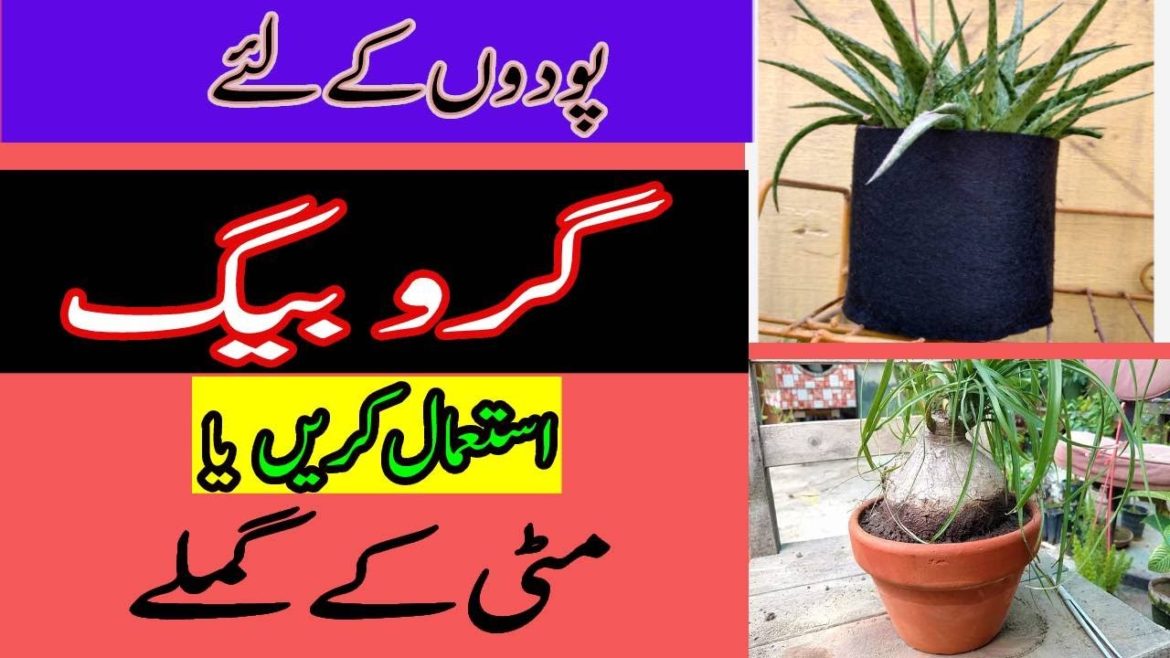 Advantage and Disadvantage of Grow Bags | Podon K Lye Grow Bags Use Krain Ya Mitti K Gamle