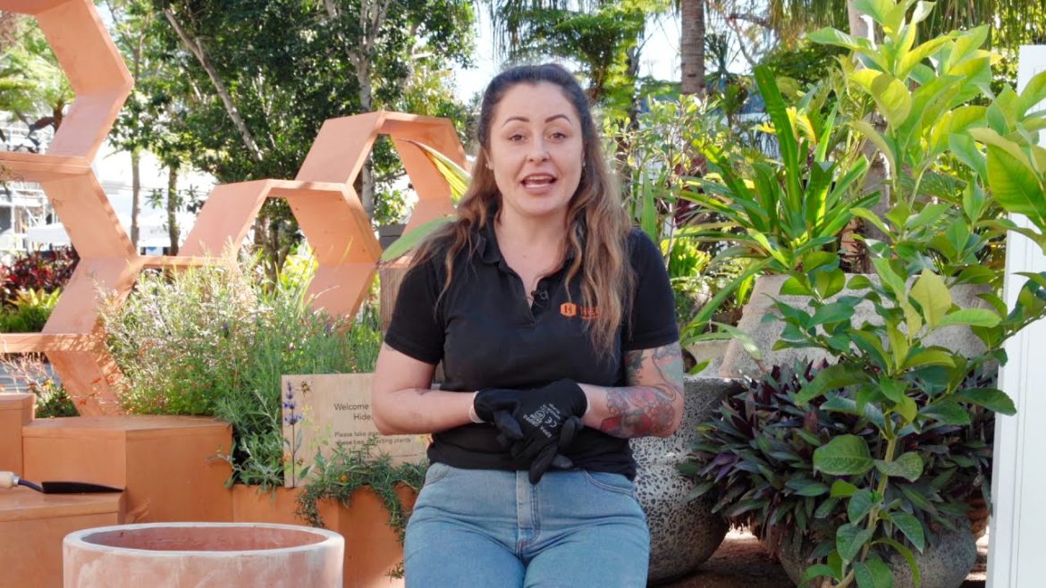 West Village Gardener - Tips for growing Citrus Trees