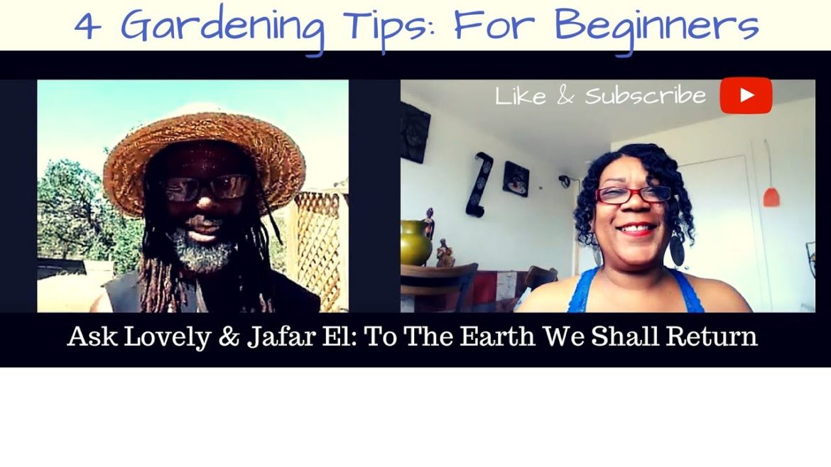 Gardening Tips for Beginners:: How To Be A Successful Gardener