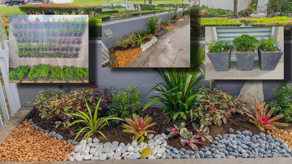 COMPLETE MAKEOVER IN 6 MINUTES! | LANDSCAPE