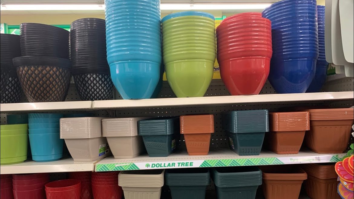 Dollar Tree ๐ณ Garden Tour ๐ฅ2021 Dollar Tree ๐ณ Garden Tour ๐ฅ2021