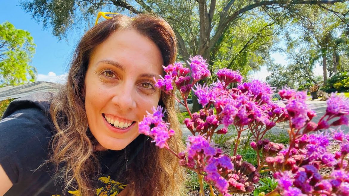 FIX the LEAN! Staking Florida Native Wildflowers (Post Hurricane Ian Garden Restoration)